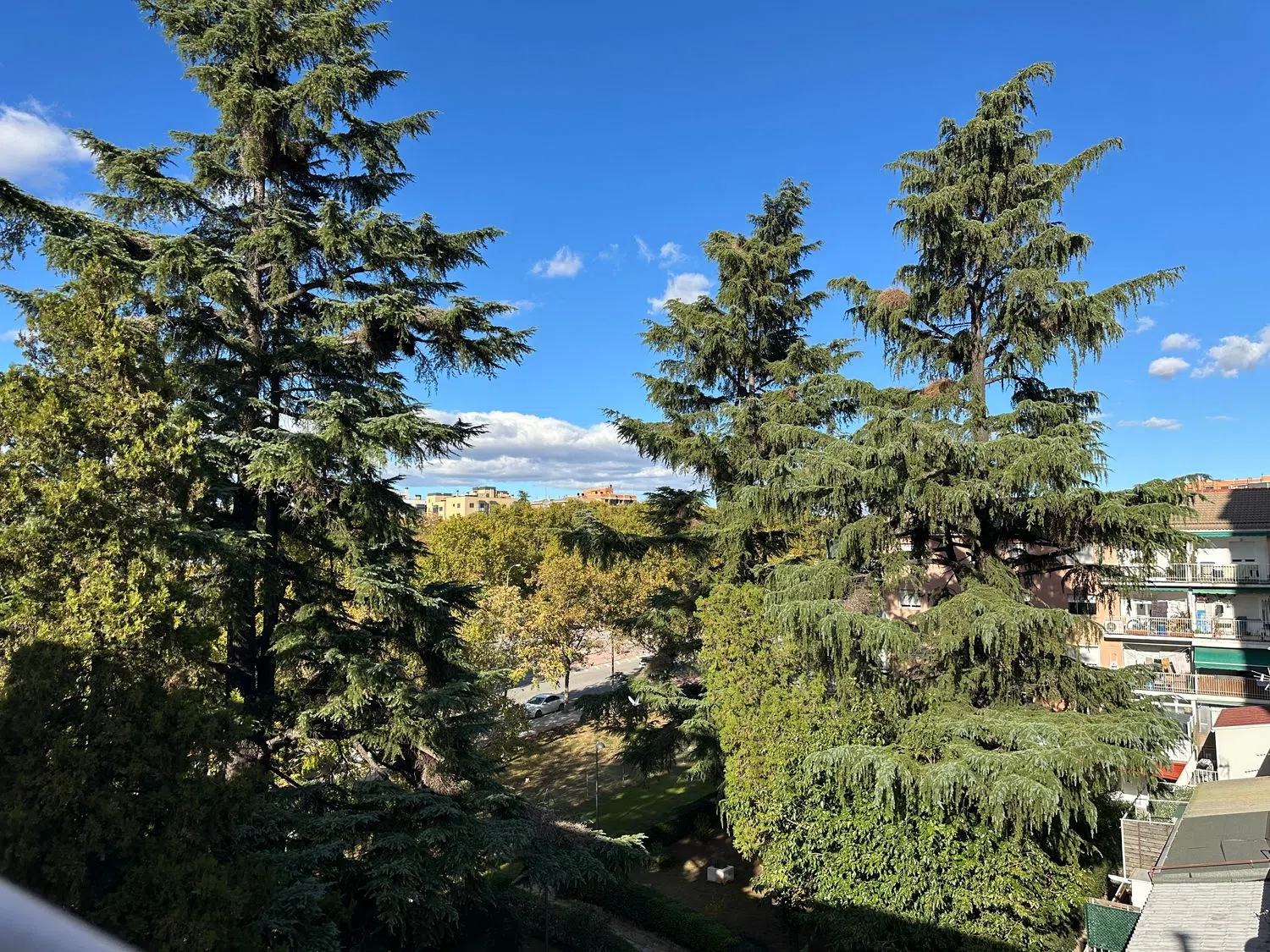 Piso en calle de Fernando Gabriel, 20 - Foto 20