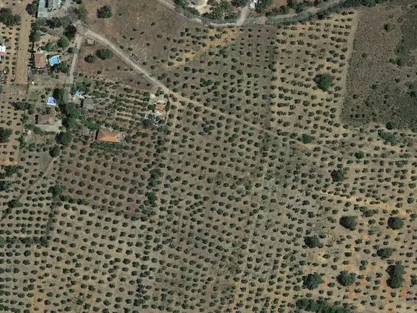 Cortijo en Cortijo en Carretera de Peñarroya a Villanueva del Duque s/n - Foto 6