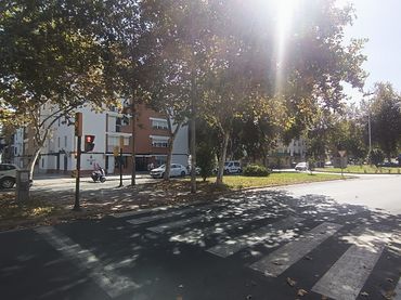 Piso en  Avenida Pío XII 22 - Foto 18