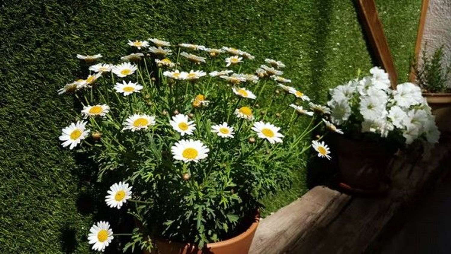 Estudio en calle Victorio, 8 - Foto 17