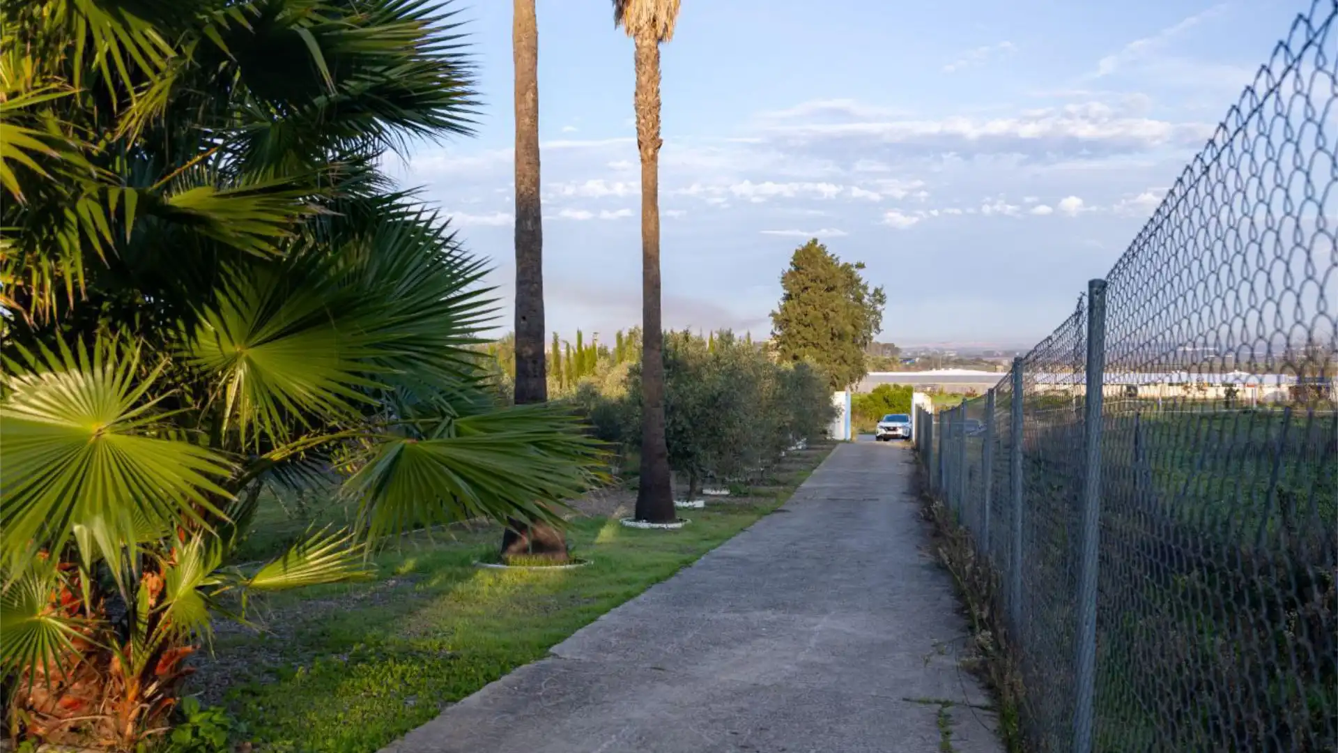 Finca rústica en  Calle Almenara 1 - Foto 2