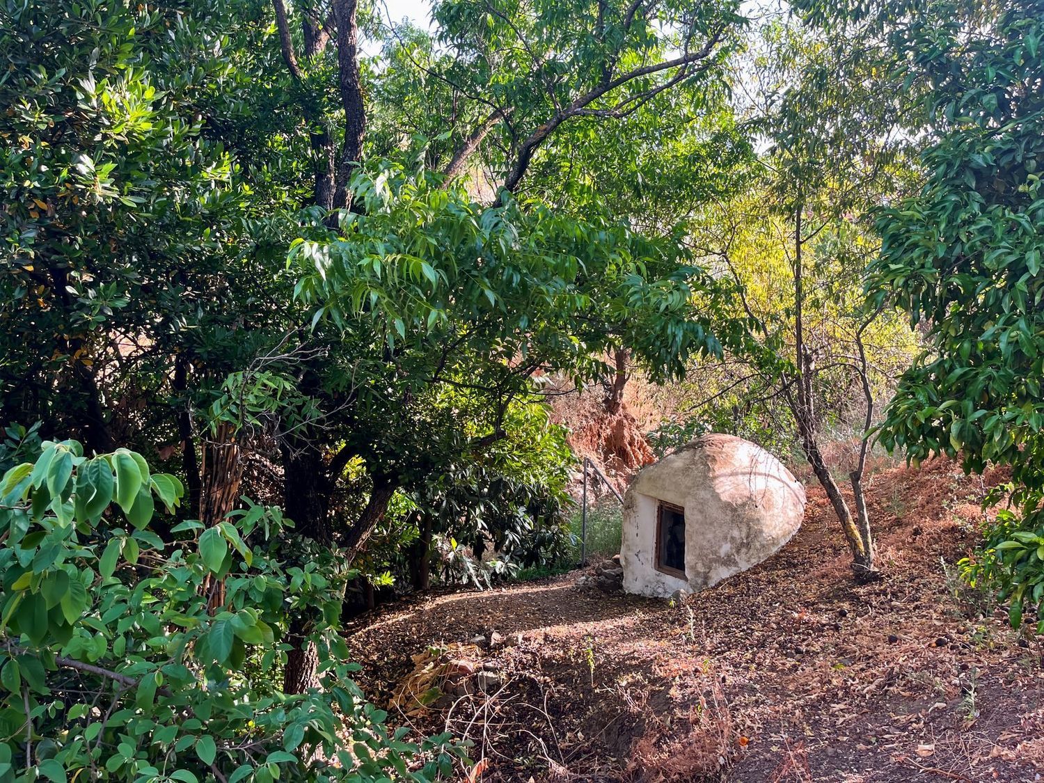 Finca rústica en Los Dioses, 6 - Foto 25