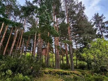 Piso en  Calle Edificio Pico del Lobo 1 - Foto 28