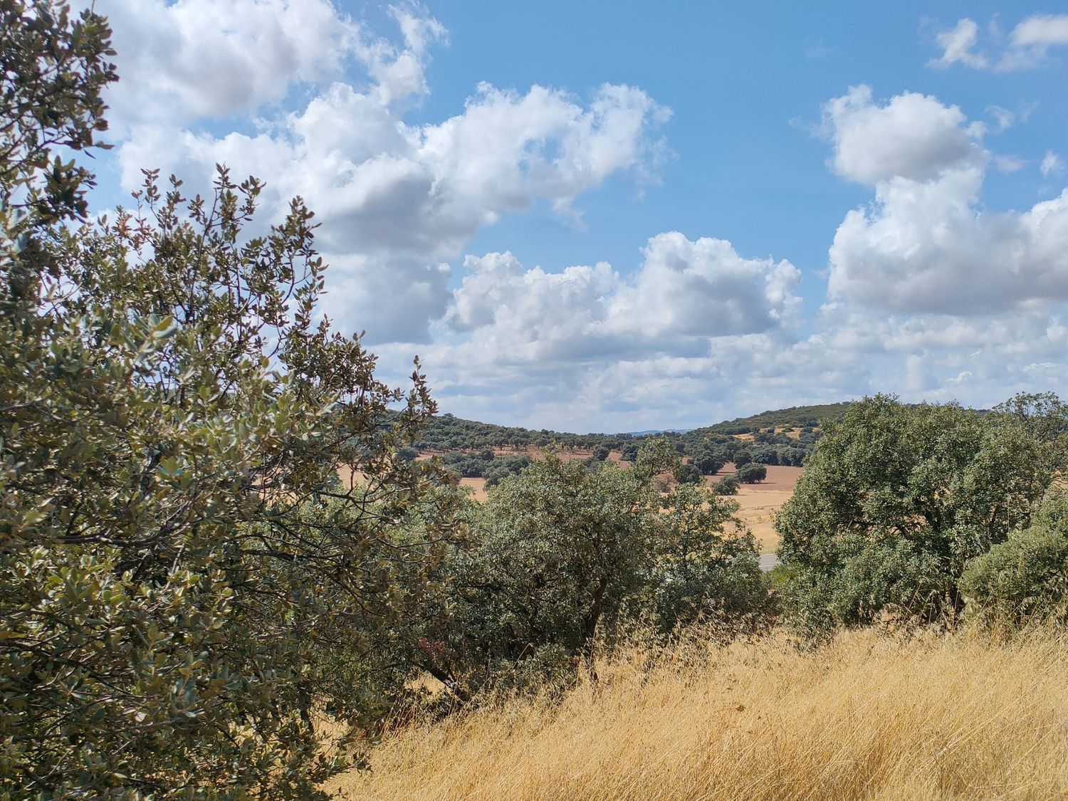 Cortijo en Camino de la Carretera de Almuradiel s/n - Foto 14