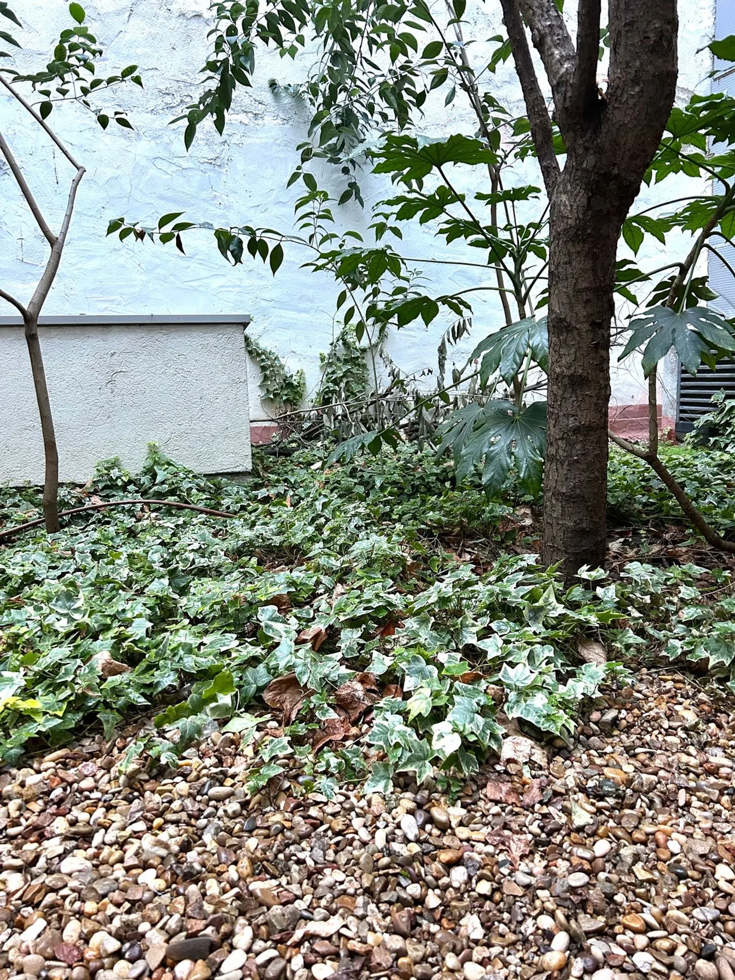 Dúplex en calle de Muñoz Torrero, 5 - Foto 5