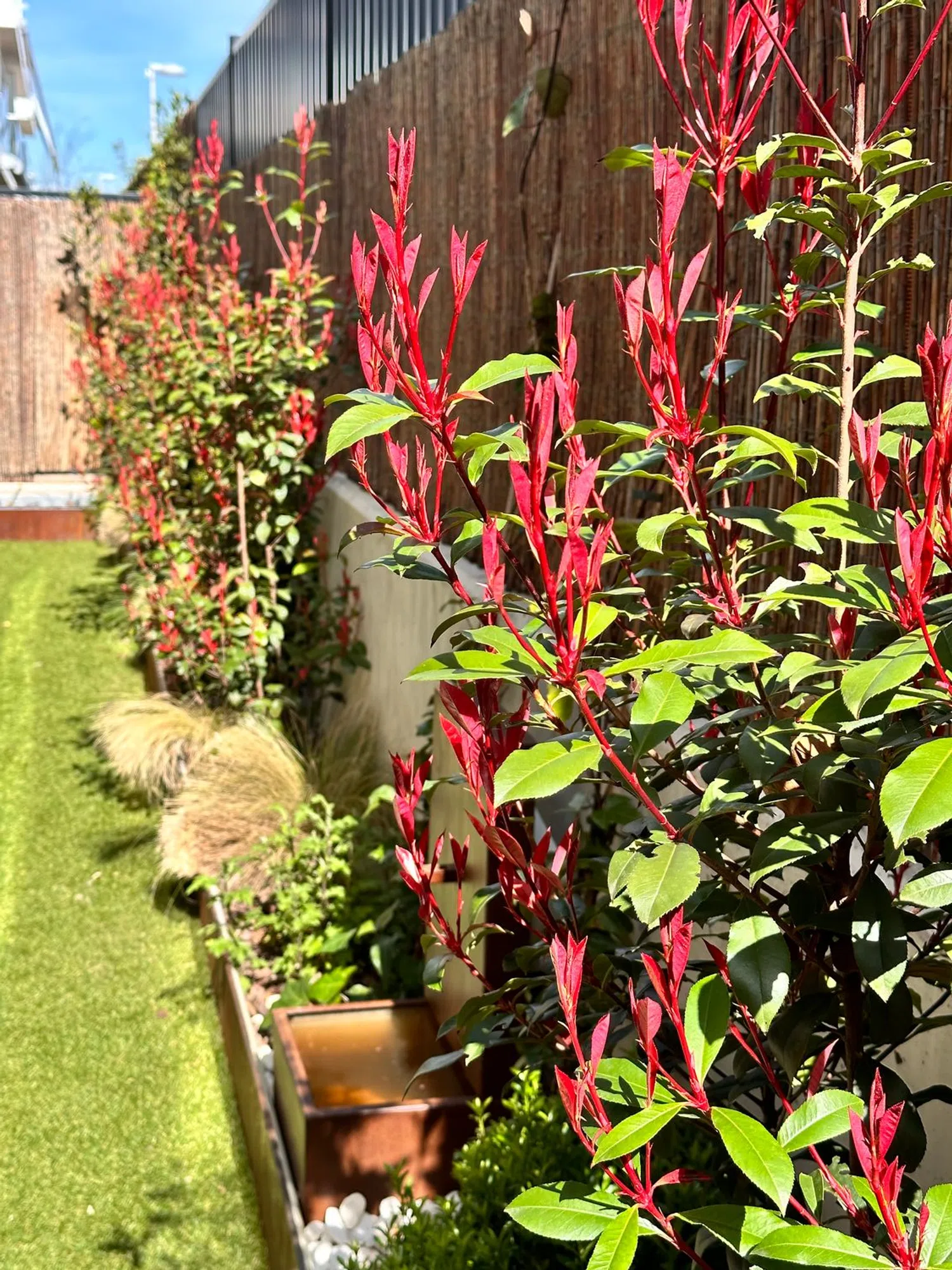 Piso en calle de la Escalonia, 15 - Foto 20