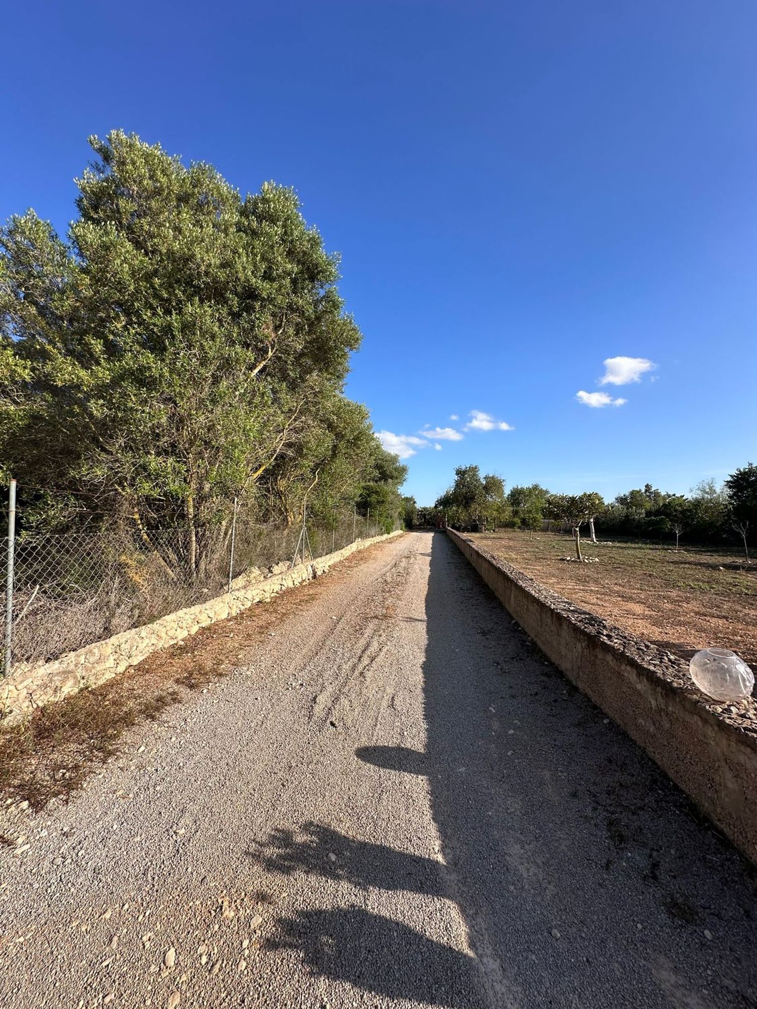 Finca rústica en Lugar Poligono 11, 639 - Foto 13