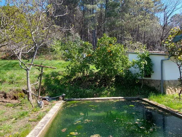 Casa o chalet independiente en Carretera Forestal de la Pregonera, 924 Av - Foto 11