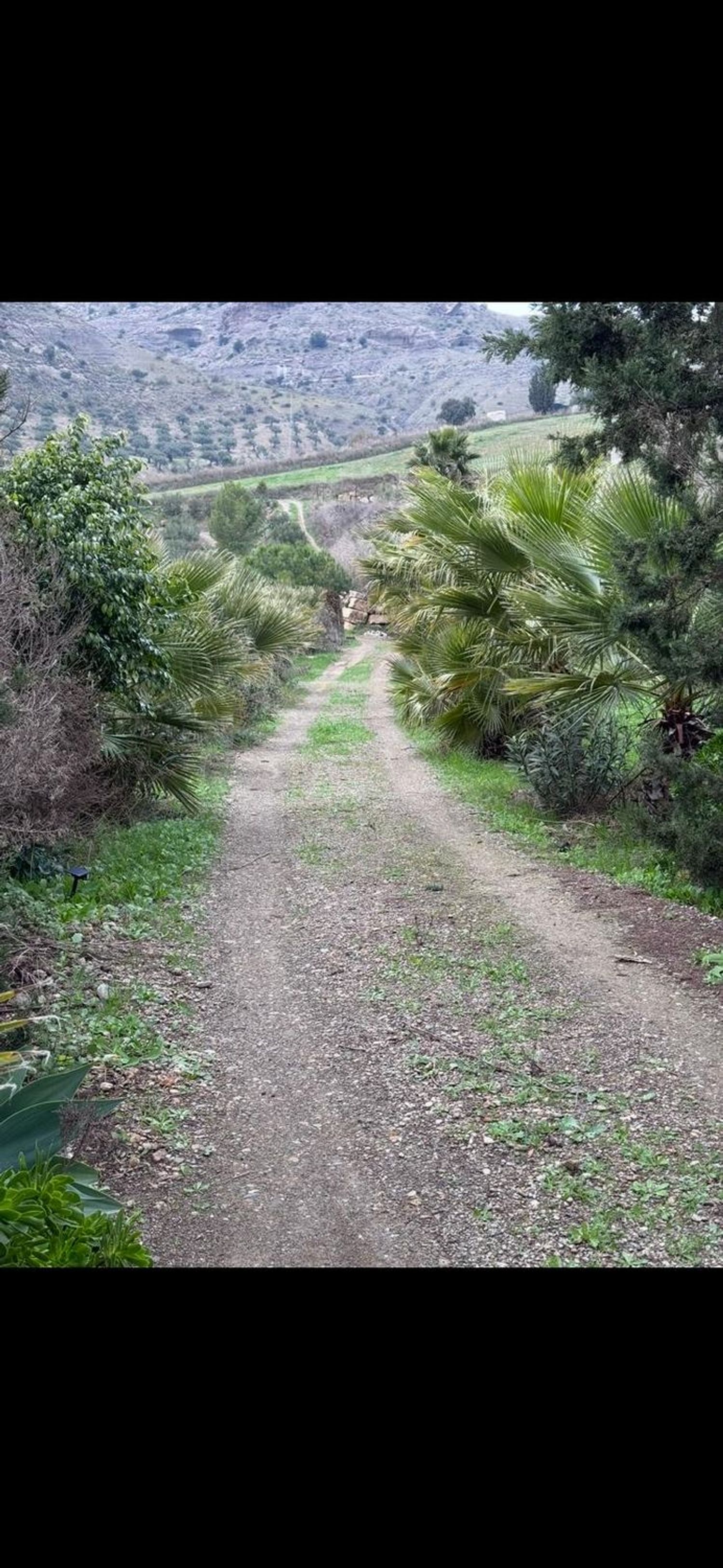 Finca rústica en Polígono diseminado, 7, Bello Horizonte-Lindasol - Foto 7