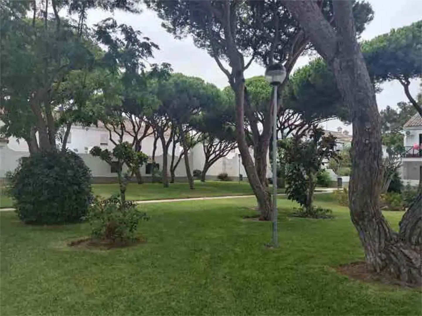 Apartamento en El pinar de la Barrosa, Chiclana - Foto 9