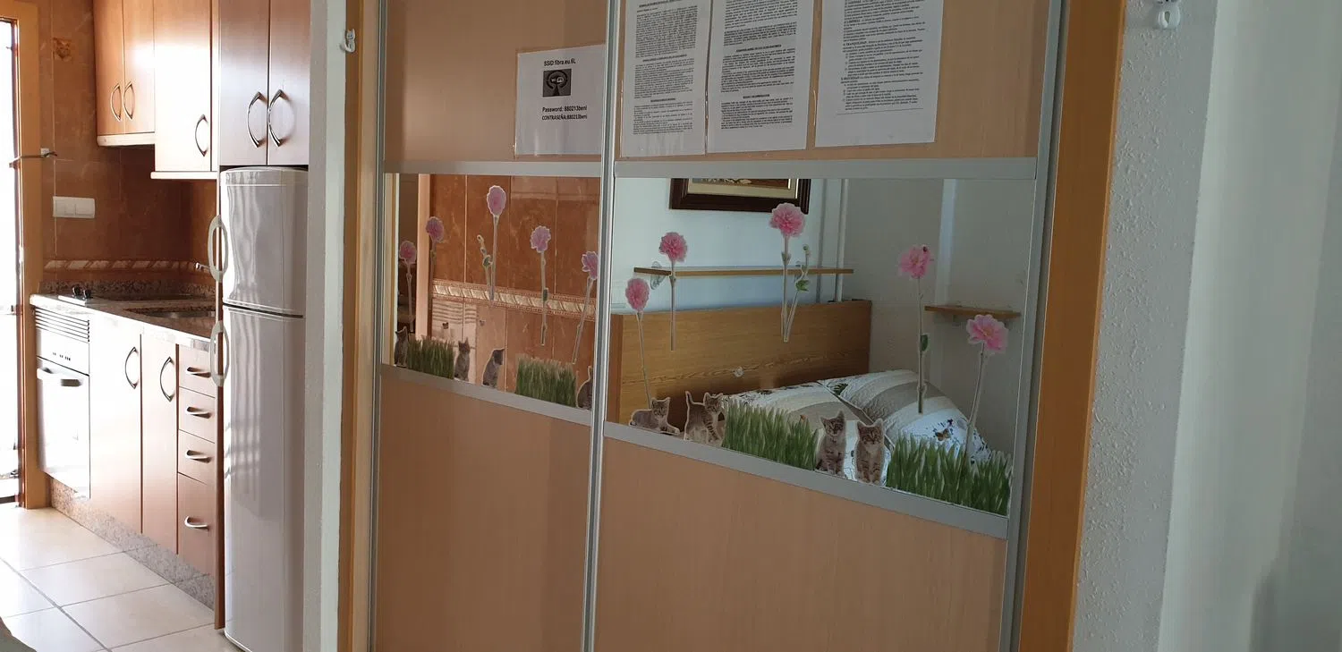 Estudio en avenida de la Marina Baixa, 13 - Foto 5