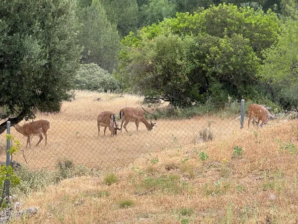 Finca rústica en Avenida del Guadalquivir, 28 - Foto 29