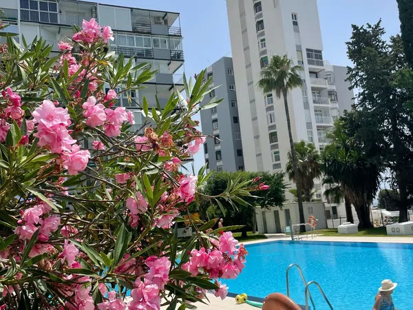 Piso en Avenida de los Álamos, 17 - Foto 29