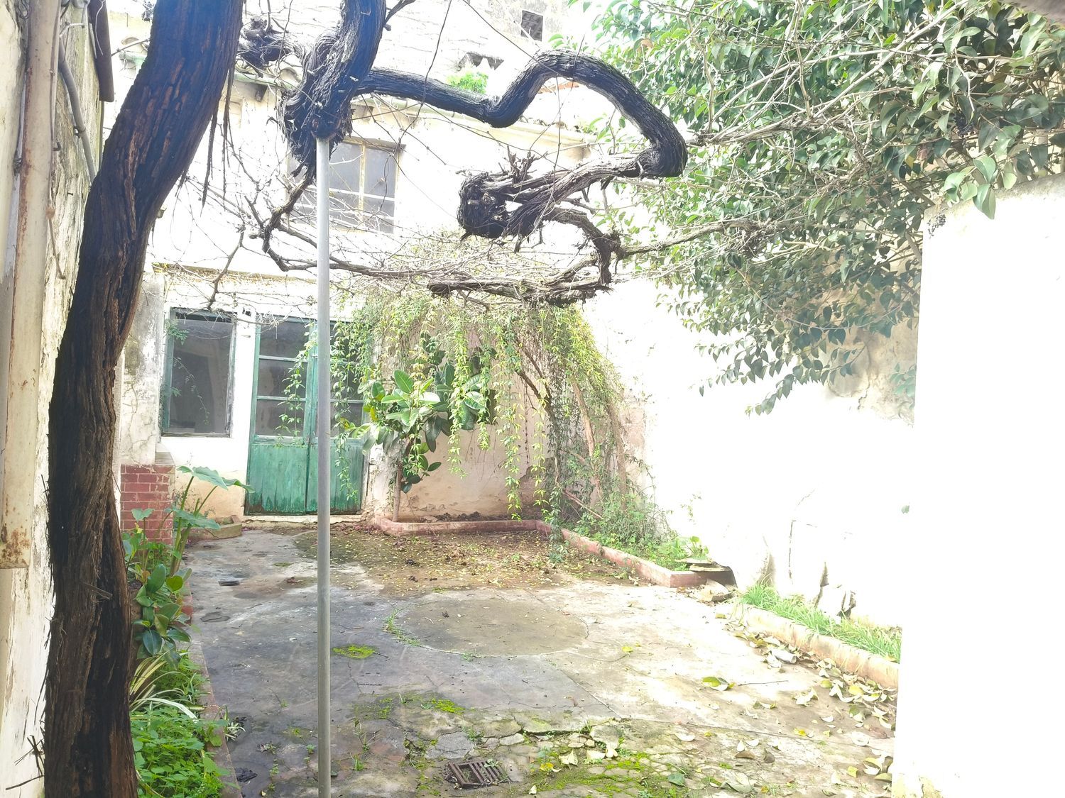 Casa o chalet independiente en Calle del palmer s/n - Foto 28