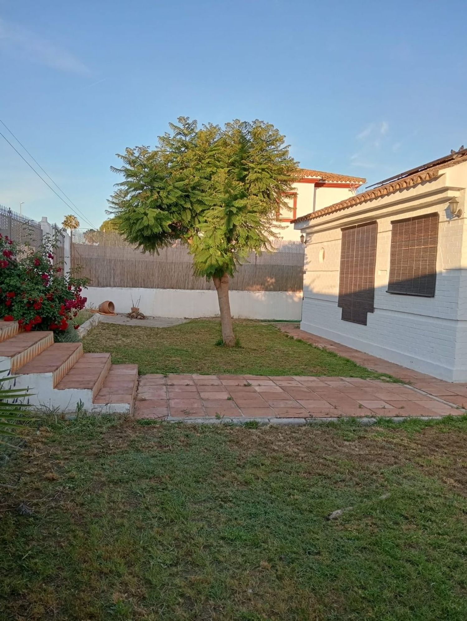 Casa o chalet independiente en Avenida el santiscal, 33 - Foto 19