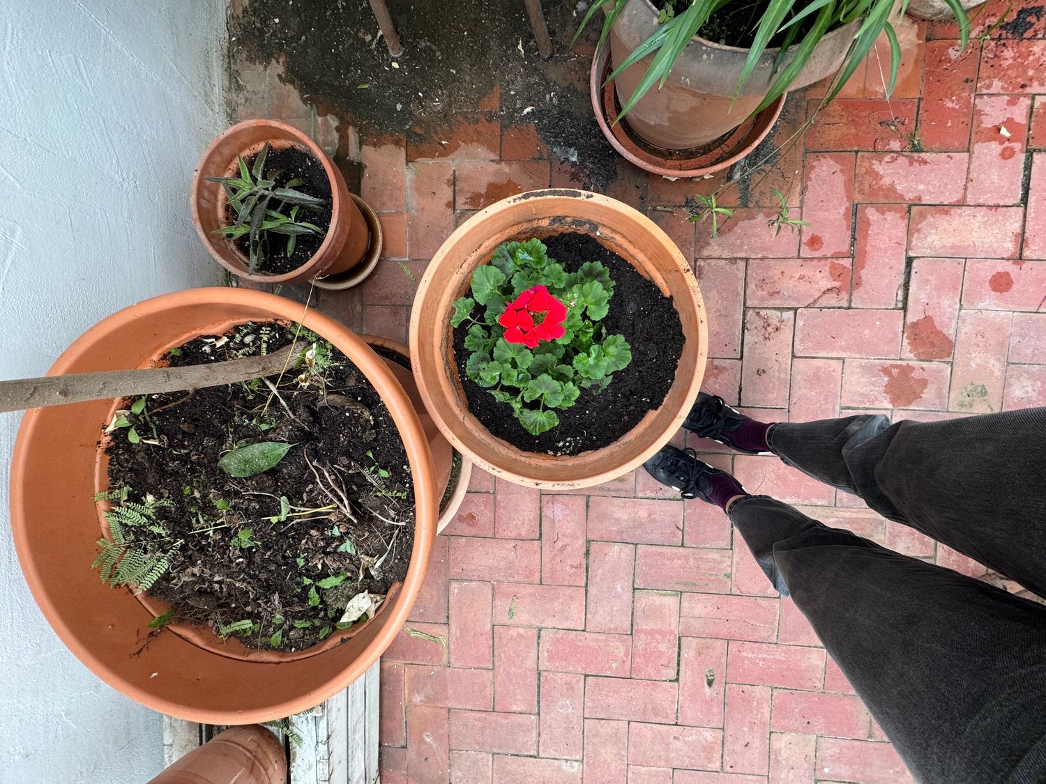 Piso en avenida del Port, 29 - Foto 11