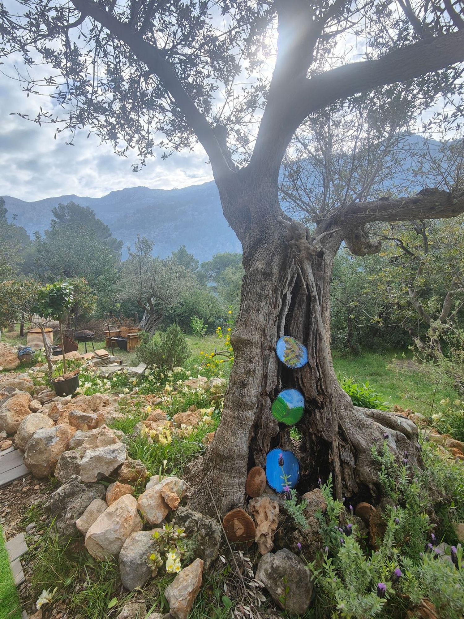 Finca rústica en Pujol den Banya, 5 - Foto 24