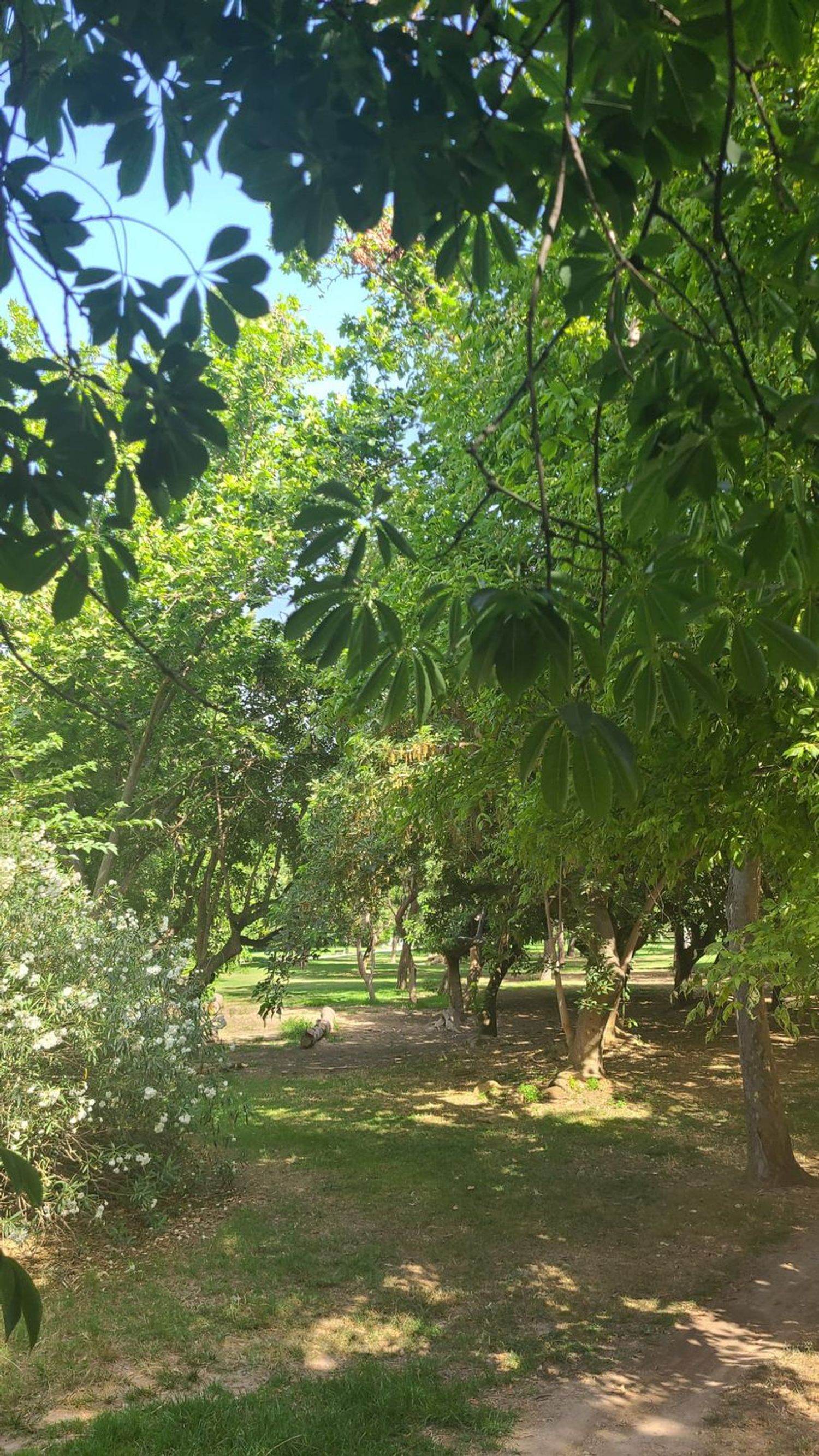 Piso en La Xerea - Foto 28