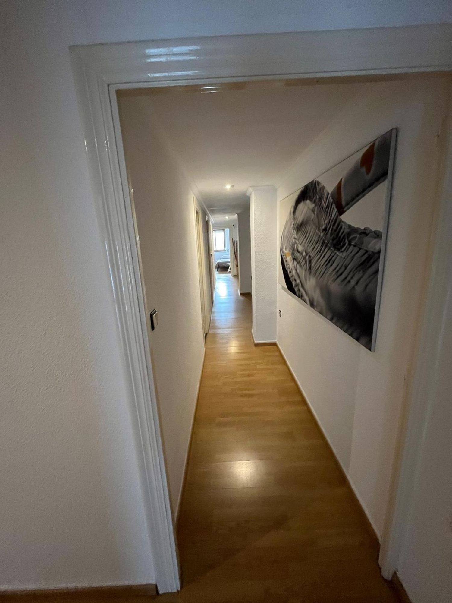 Piso en Calle Pintor Lorenzo Casanova, 31, Ensanche-Diputación - Foto 32