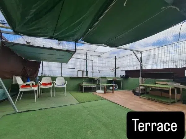 Casa terrera en Carretera General de La Perdoma, 168, La Perdoma - San Antonio - Benijos, La Perdoma - San Antonio - Benijos - Foto 18
