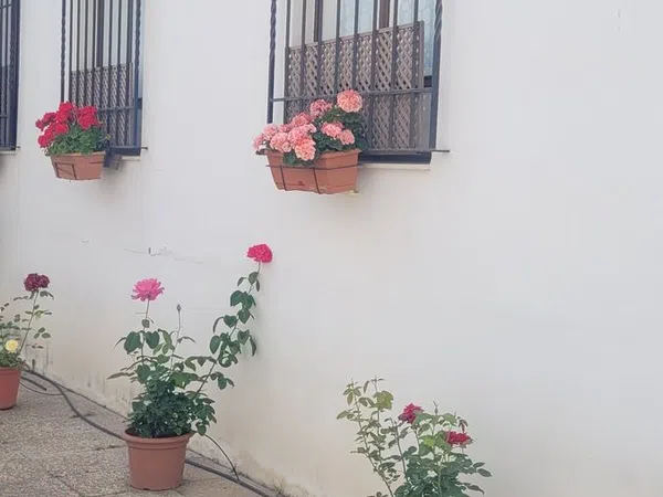 Piso en Calle San Pablo, 23, Casco Histórico - Ollerías - Marrubial - Foto 18