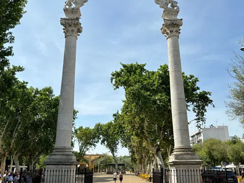 Estudio en calle Torneo, 23 - Foto 16