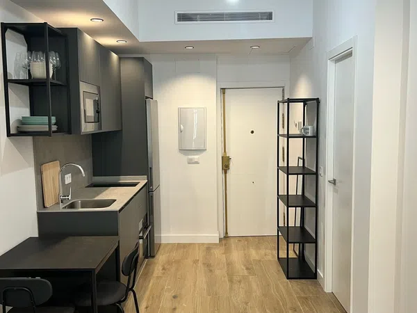 Estudio en Barrio Nervión - Foto 1