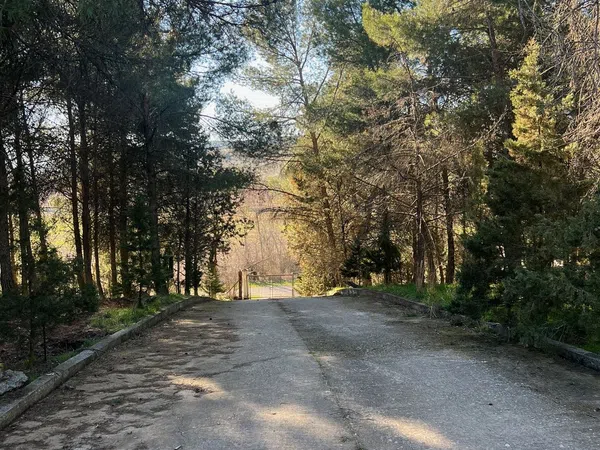 Finca rústica en Diseminado, 149 - Foto 2