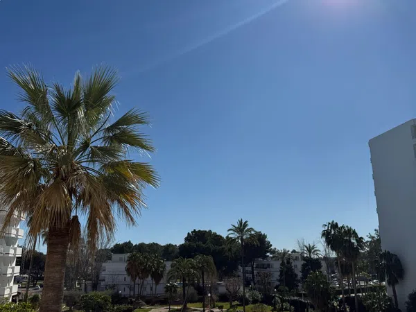 Piso en avenida Pere Mas i Reus, 23 - Foto 8