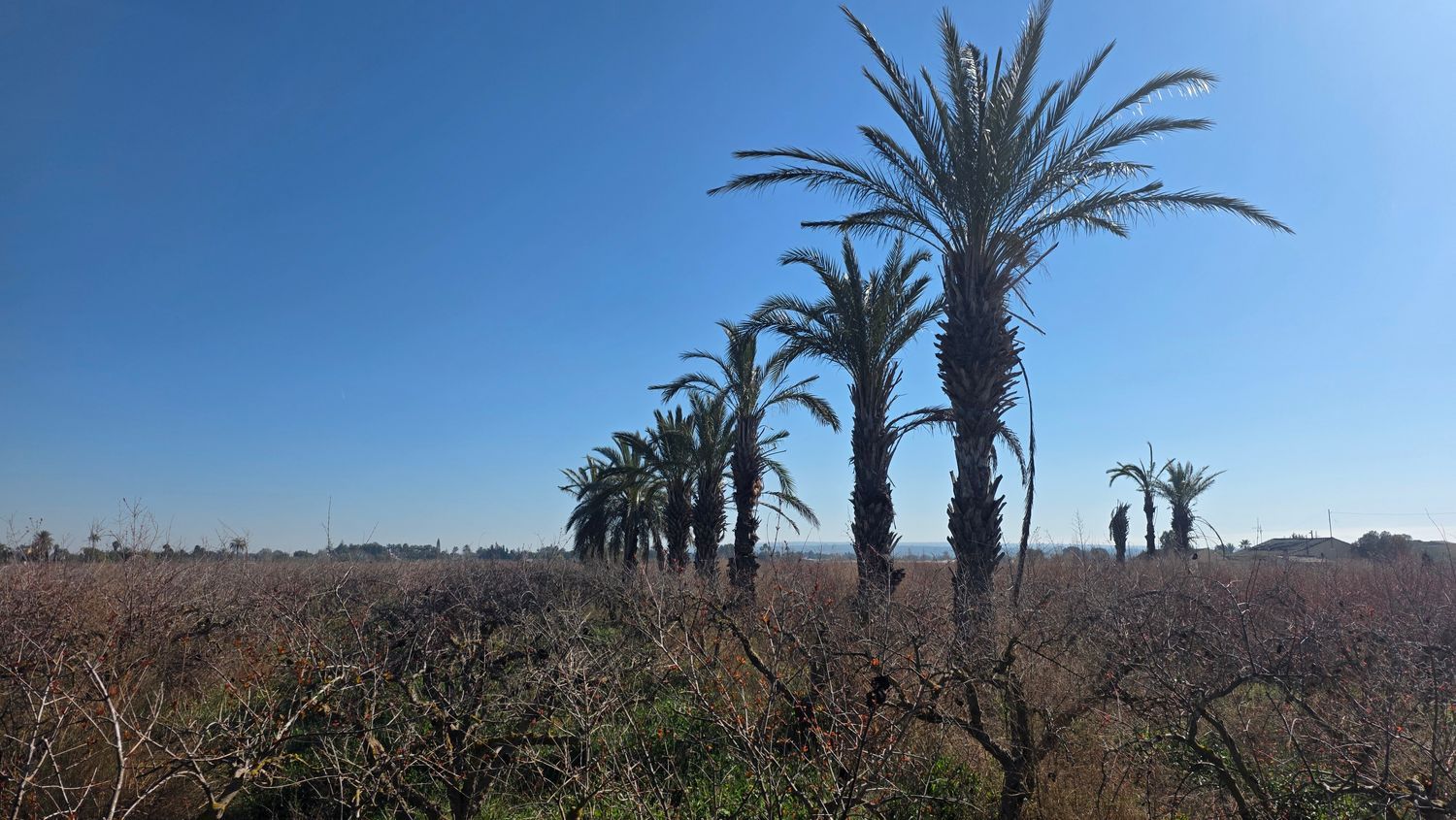 Casa independiente en camino de les Cases Juntes, 100 - Foto 3