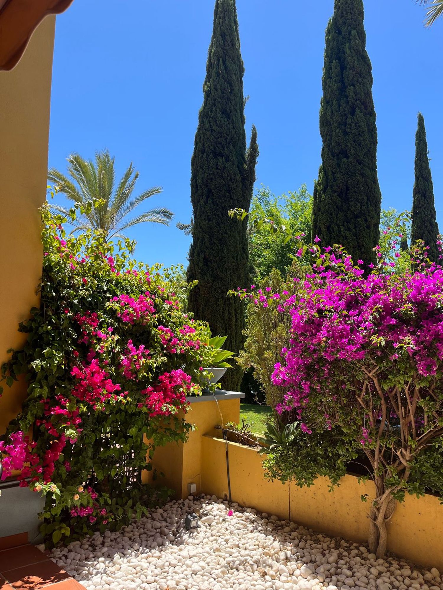 Piso en avenida Reina Doña Sofia, 1 - Foto 2