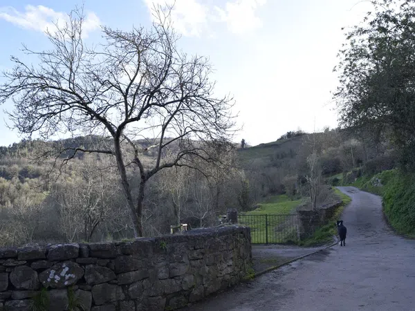 Casa de pueblo en Aldea las Cuestas, 57, San Claudio-Trubia-Las Caldas, San Claudio-Trubia-Las Caldas - Foto 3