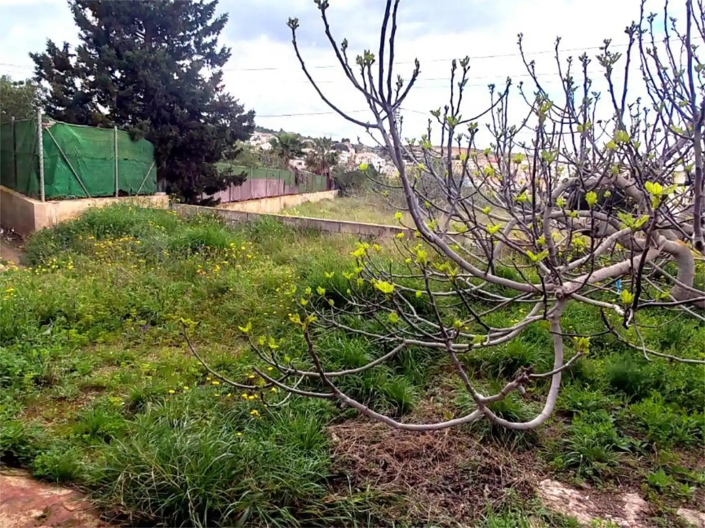 Piso en  Lugar el Majuelo Bajo 4 - Foto 41
