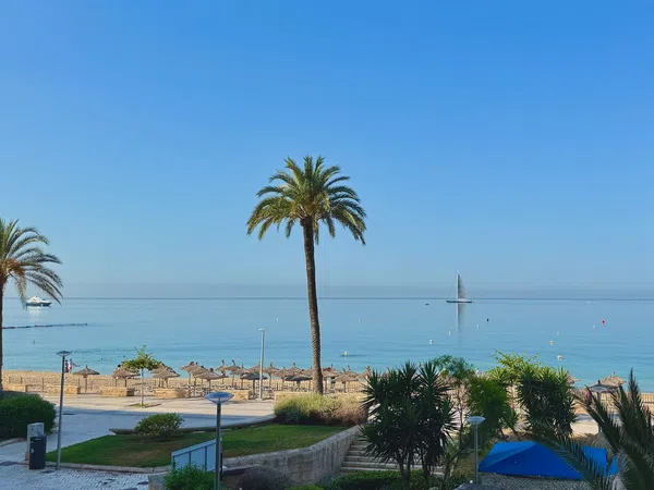 Piso en Urb. marina plaza Portixol-Molinar - Foto 2