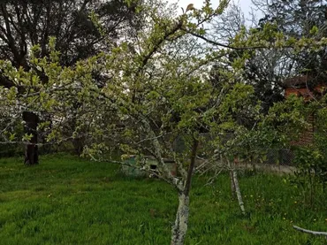 Planta baja en  Rúa Doutor Martínez Rodríguez 22 - Foto 36