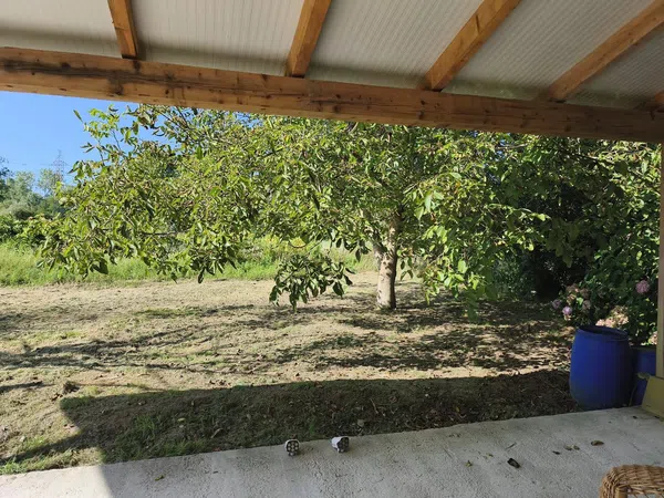 Finca rústica en Mies Barreda, 6 Poligonoparcela, Inmobiliaria - Barreda, Inmobiliaria - Barreda - Foto 3