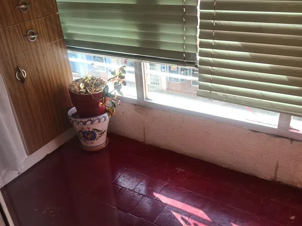 Piso en Avenida Zaragoza, 2, Plaza de Toros - Barón de Warsage - Foto 13