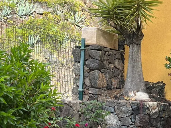 Piso en Calle Rubens Marichal López, 67 a, Ifara-Las Mimosas - Foto 14