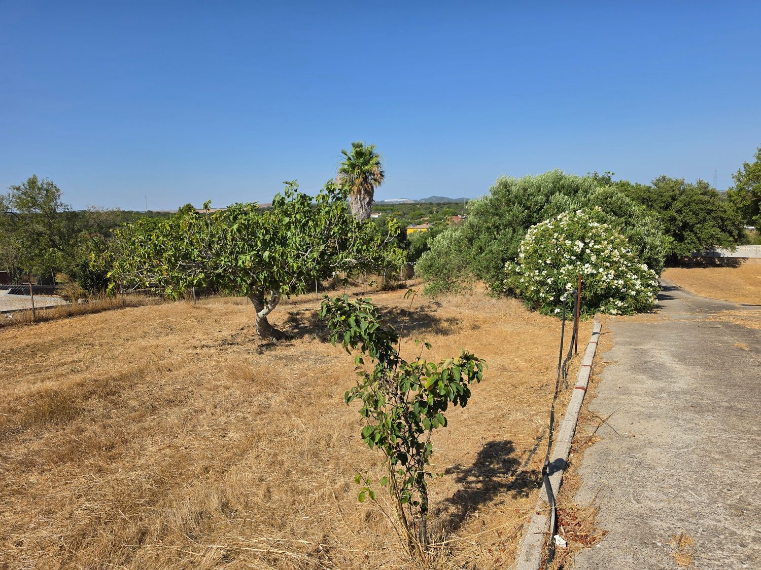 Finca rústica en Vereda de la Tarde, 3, Núcleo Urbano, Núcleo Urbano - Foto 33