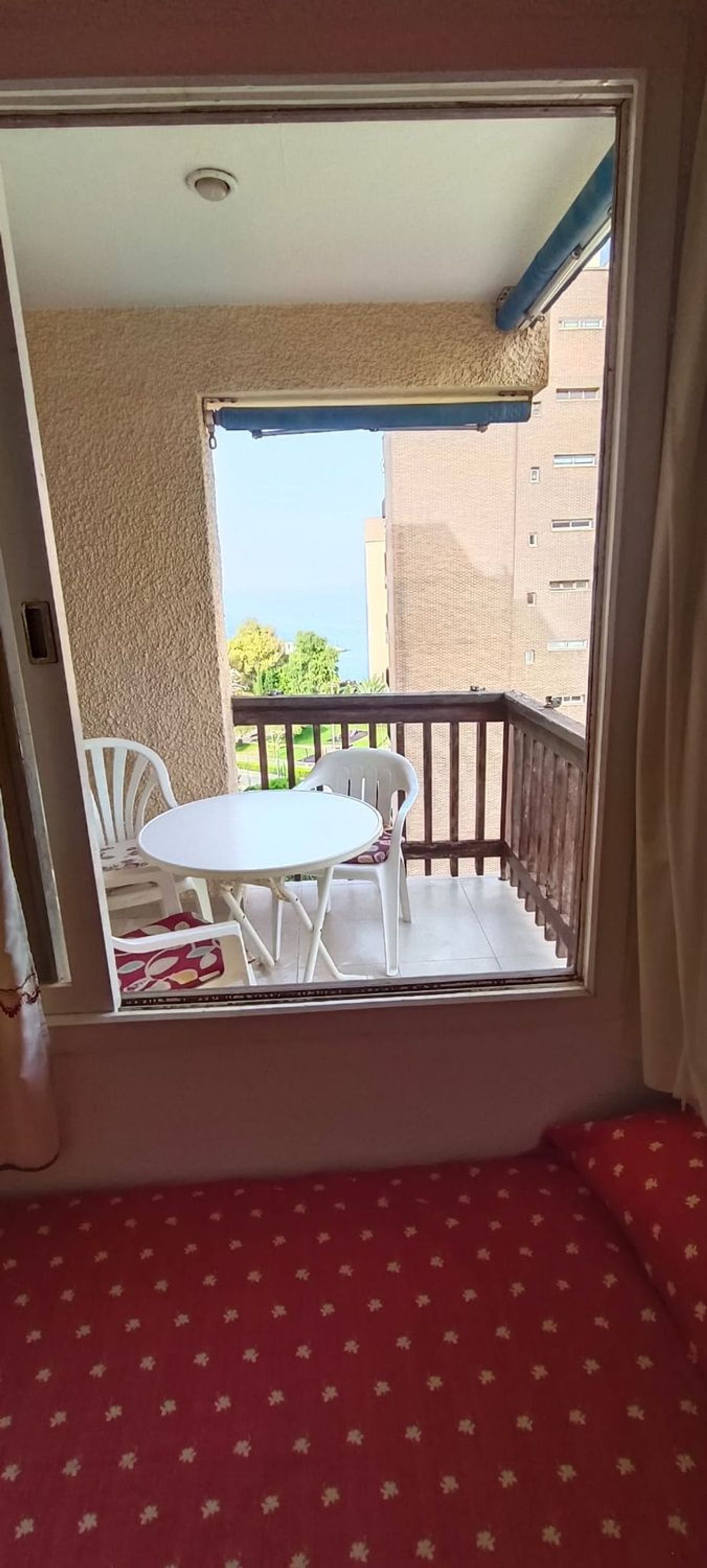 Estudio en Calle Gabriel y Galán, 3, Campoamor - Foto 11