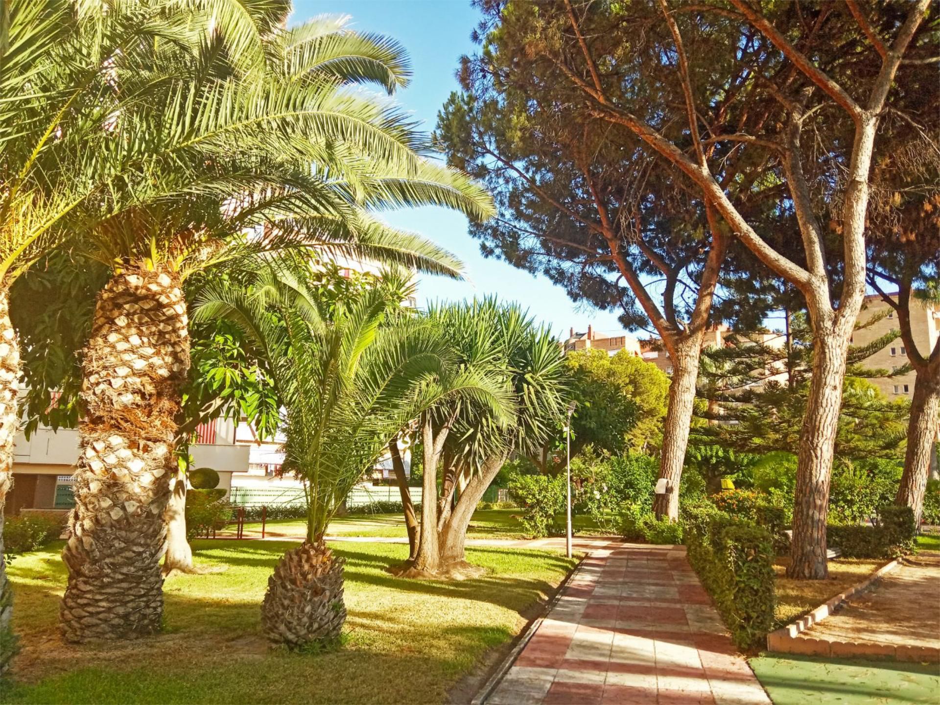 Piso en  Avenida de Holanda 22 - Foto 24