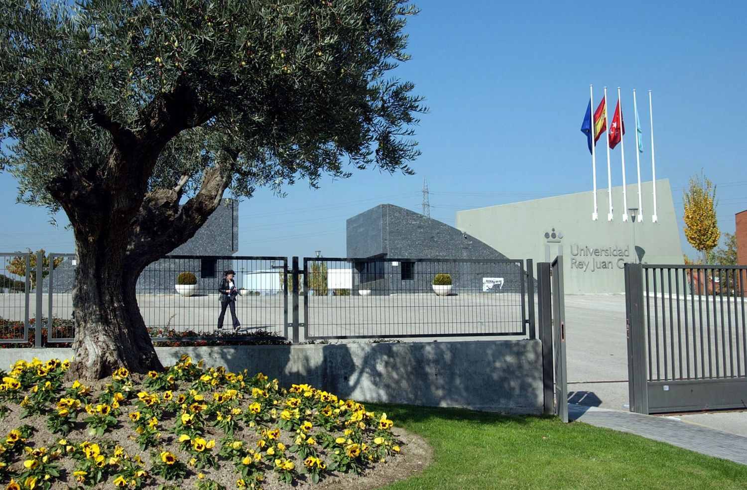 Chalet pareado en Norte - Universidad - Foto 38