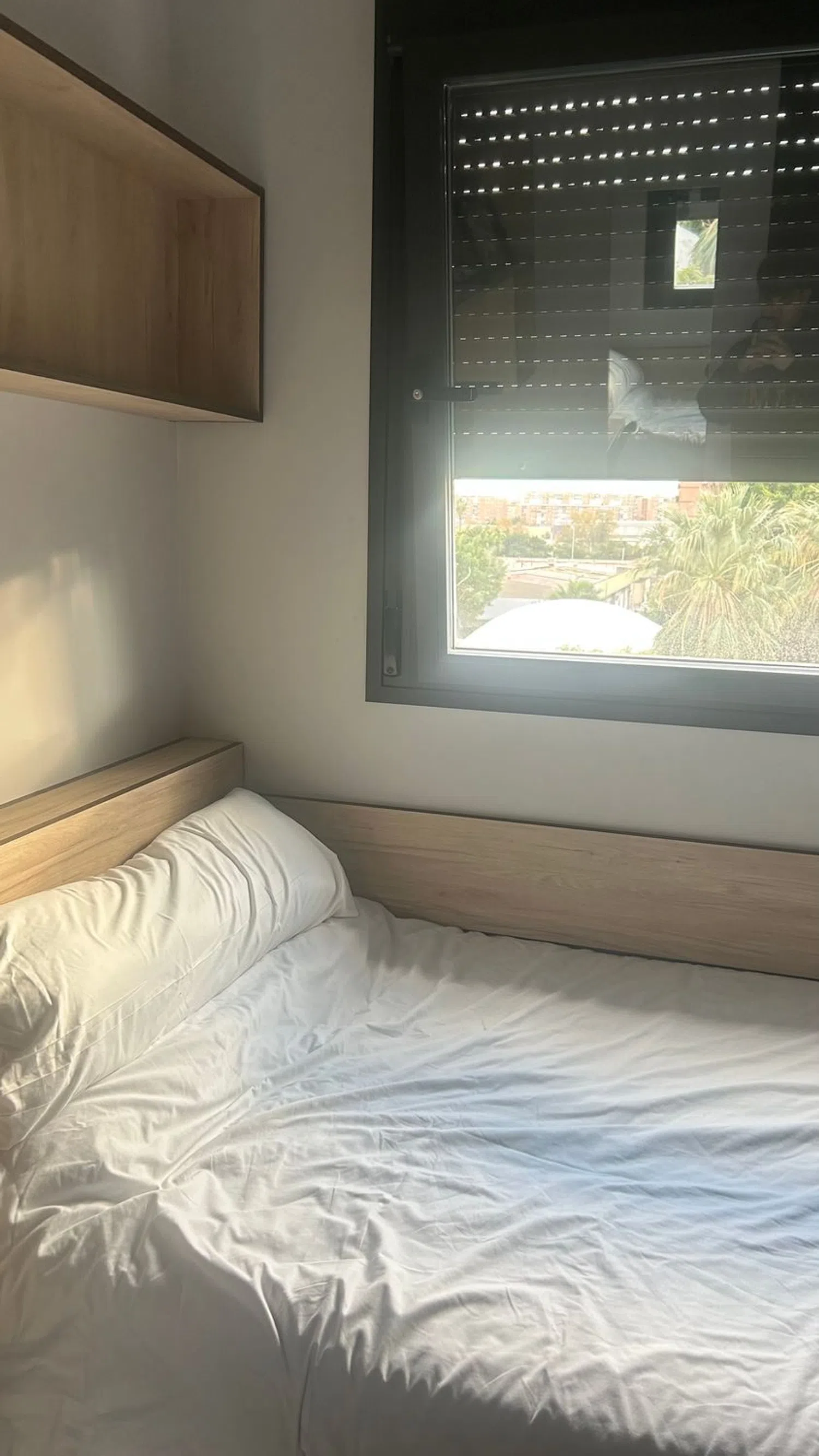 Estudio en avenida Nehemias, 26 - Foto 7