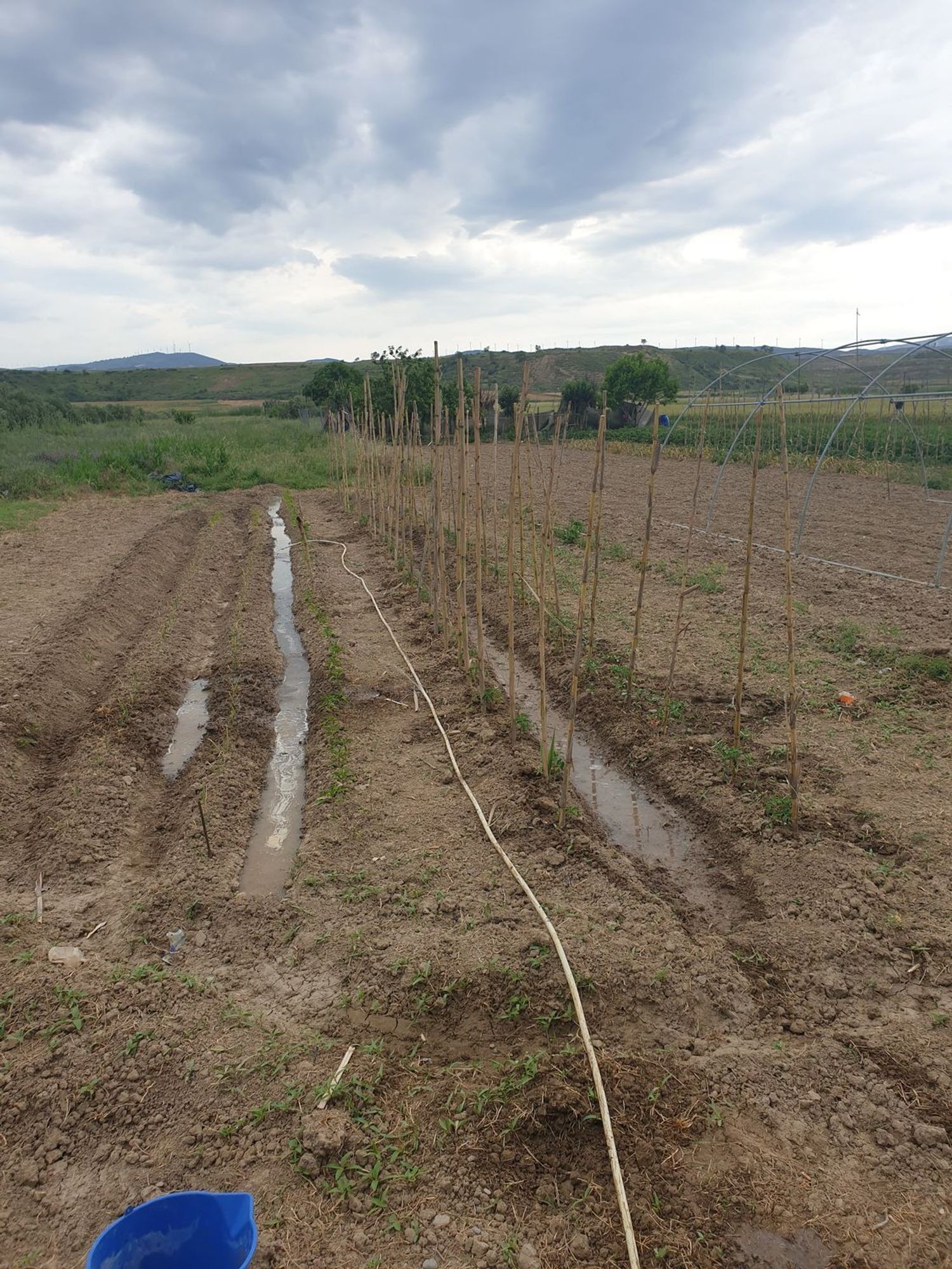 Finca rústica en Camino de Pastoriza, 3 - Foto 7