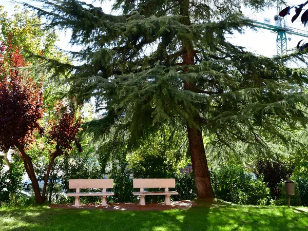 Piso en calle San Andrés, 37 - Foto 26