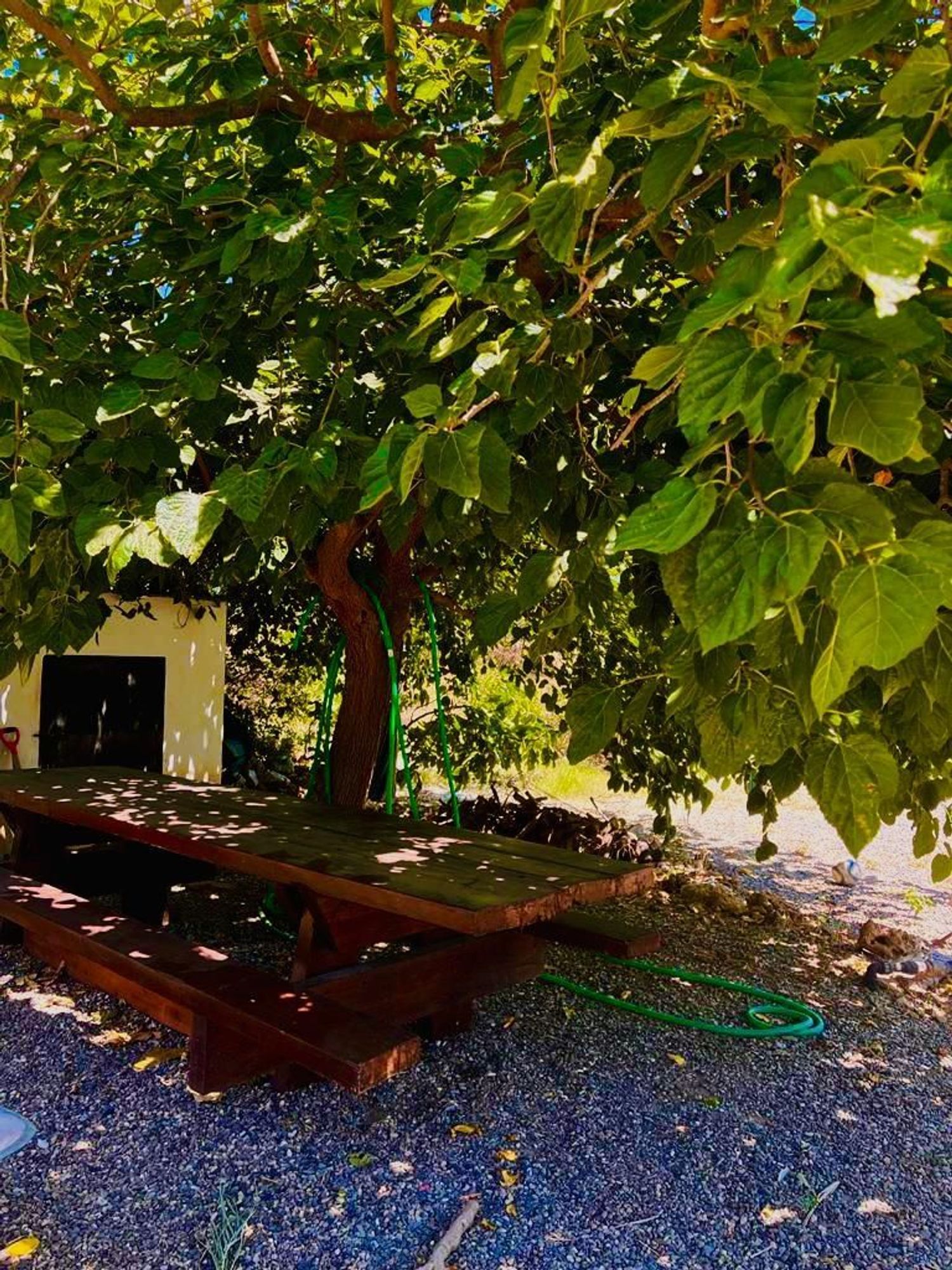 Finca rústica en Parcela, 80 - Foto 2