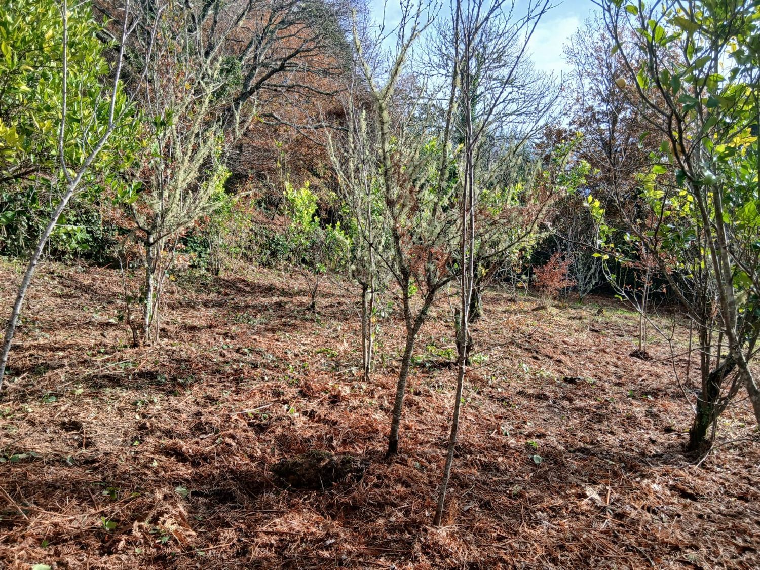 Casa de pueblo en a Sorreira, 148 - Foto 4