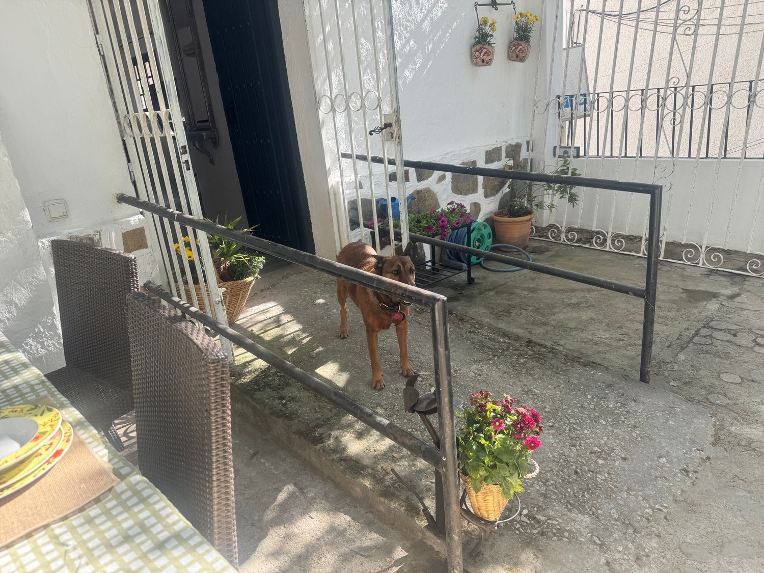 Casa de pueblo en Casares - Foto 13