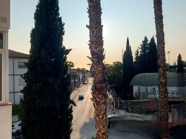 Piso en Avenida Andalucía, 15, Centro, Centro - Foto 22