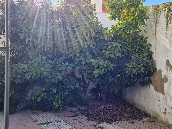 Casa de pueblo en Calle Mondéjar, 29 - Foto 12